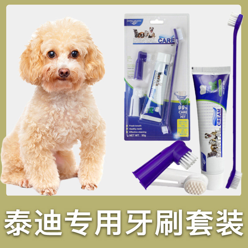 泰迪犬专用牙刷套装小狗狗宠物牙膏刷牙牙用具牙齿清洁用品指套