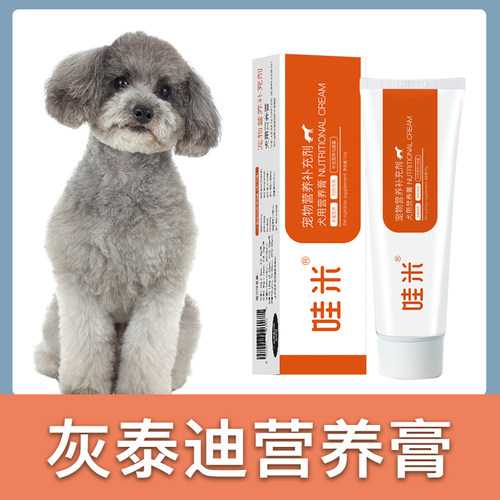 灰泰迪补充营养维生素春上村下