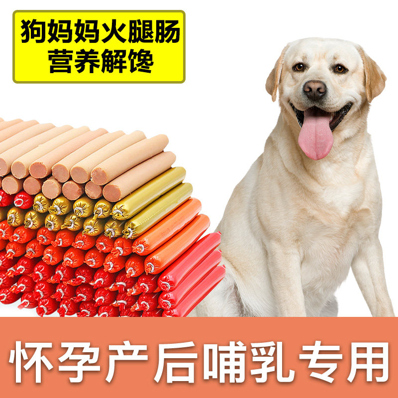 狗妈妈哺乳期零食火腿肠泰迪金毛母狗怀孕孕狗产后下奶母犬营养品
