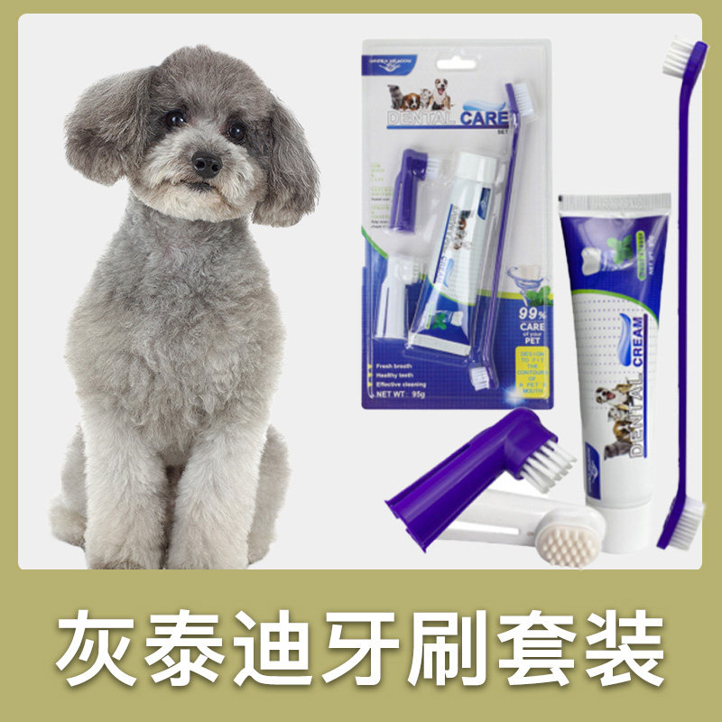 灰泰迪专用牙刷套装小狗狗宠物牙膏刷牙牙用具牙齿清洁用品指套