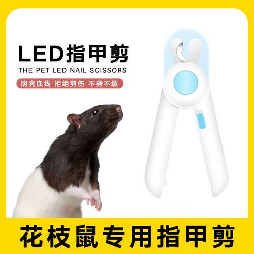 花枝鼠仓鼠专用指甲剪