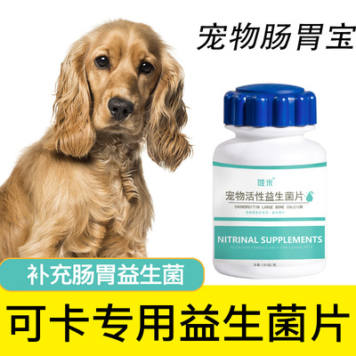 可卡犬益生菌宠物肠胃消化犬用