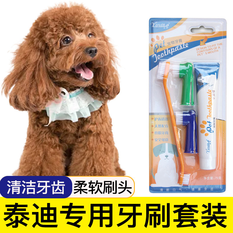 泰迪专用牙刷宠物牙膏指套刷牙牙用具牙齿清洁用品指套