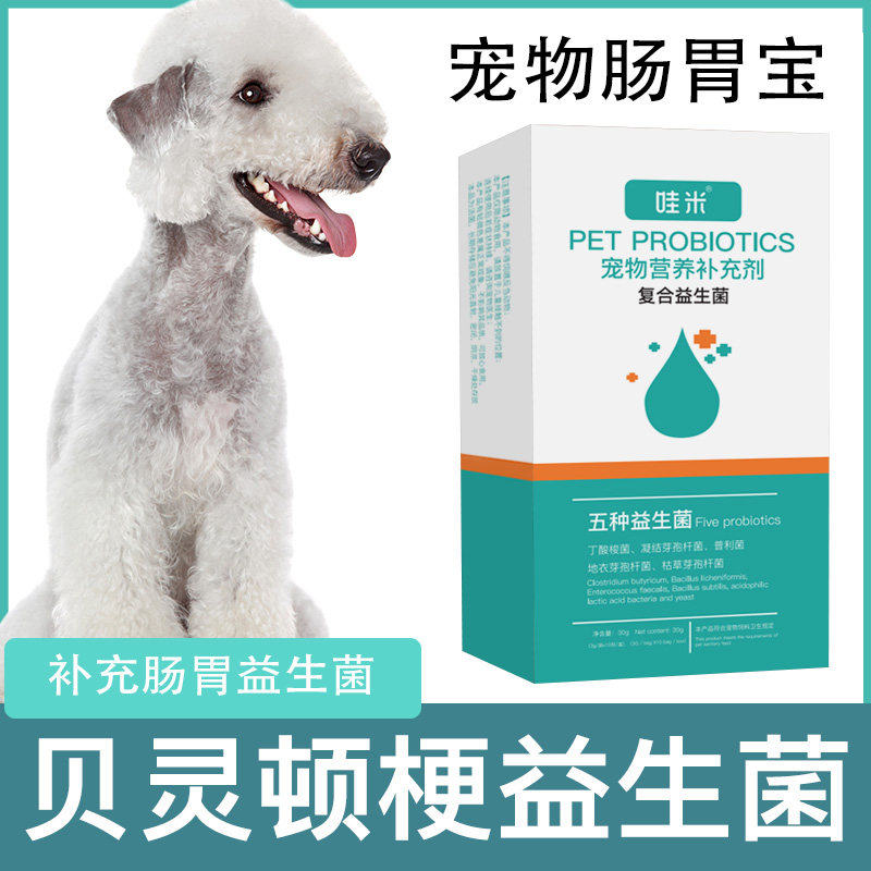 贝灵顿梗专用益生菌粉宠物犬用狗狗小幼犬成犬肠胃宝肠道消化宝