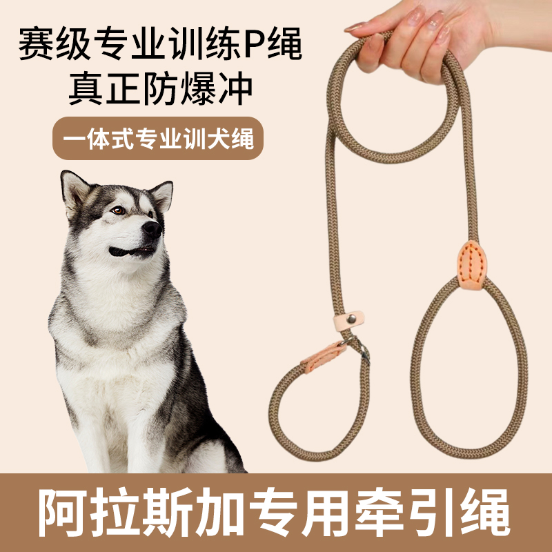 阿拉斯加防爆冲P链遛狗牵引绳