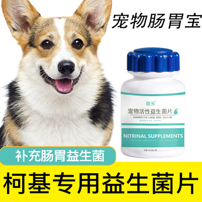 柯基益生菌宠物肠胃消化犬用