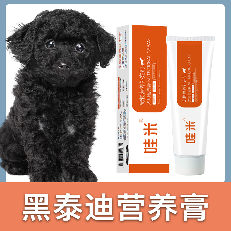 黑泰迪补充营养维生素春上村下