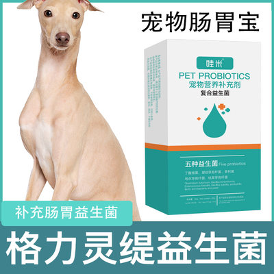 格力犬专用益生菌粉宠物犬用