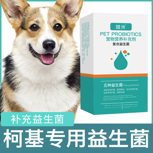 柯基专用益生菌粉宠物犬用狗狗