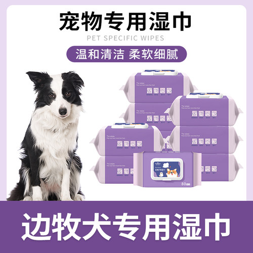 边牧湿巾纸宠物狗狗湿纸巾