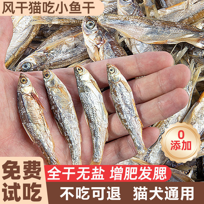 小鱼干小河鱼猫咪零食宠物冻干多春鱼无盐增肥发腮猫粮营养磨牙棒,宠物/宠物食品及用品,猫风干零食/肉干/鱼干,淘宝优惠券,粉丝福利购,淘宝优惠卷