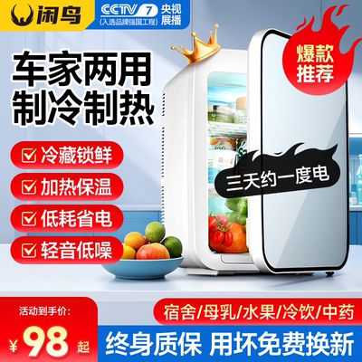 已有999+购买】小冰箱车家两用