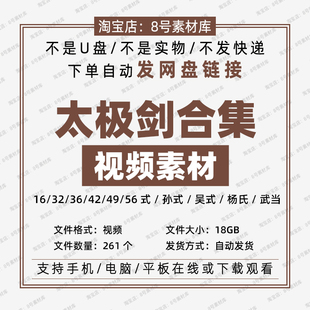 56式 杨氏武当太极剑 42式 太极剑视频素材合集32式 49式 吴式 16式 孙式