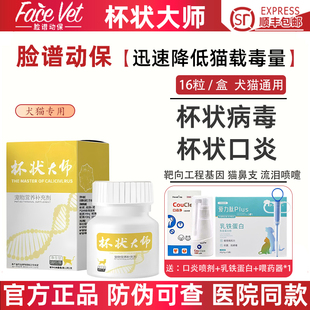 杯状大师靶向基因工程猫鼻支流泪打喷嚏猫咪口炎口水杯状病毒脸谱