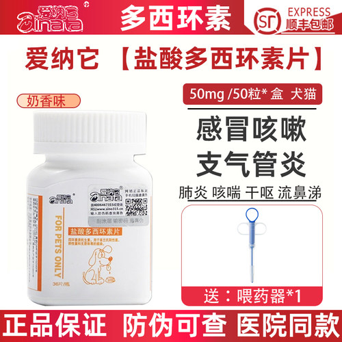 咳喘爱纳它感冒宠物肺炎支气管