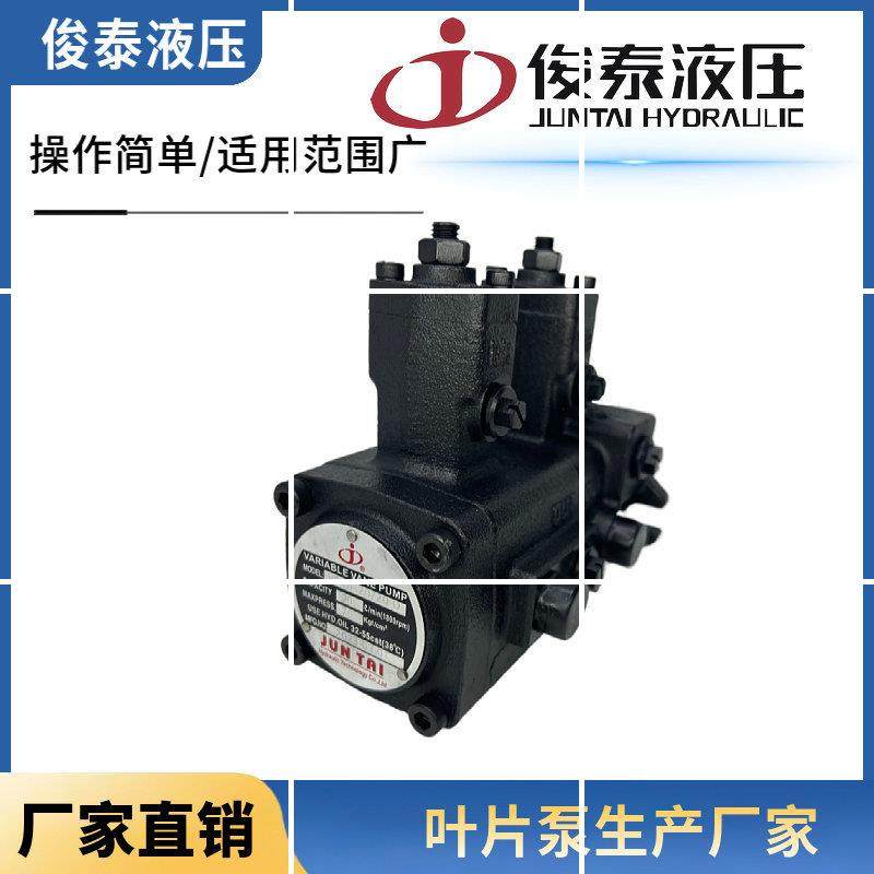 JUNTAI油泵VP-SF20/20-D  20D-20D 30D-30D 40-40D双联叶现货