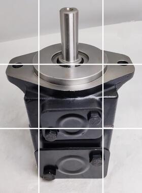 法国DENISON丹尼逊T6C 003/005/006/008 1R00/1R01/1R021R03 现货