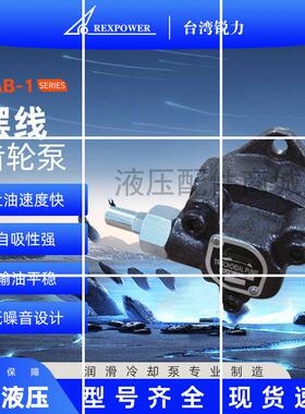 摆线齿轮泵 可调压三角泵RAB-10A/11A/12A/1现货