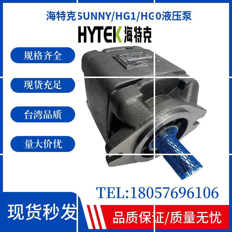 齿轮泵HG1/HG0/HG2-80/125-01R-VPC内啮合液压伺服油泵现货