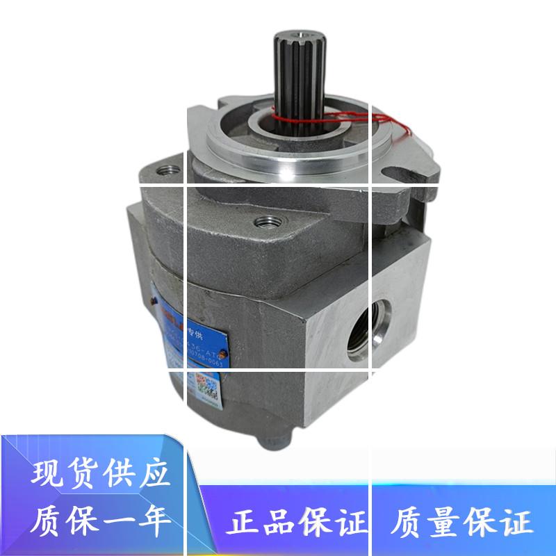 液压泵 液压油泵 齿轮油泵 齿轮泵(13右1法1螺前)CBKC-G436-A现货