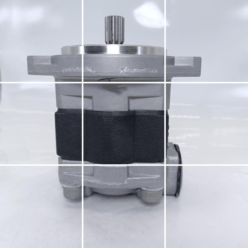 REXPOWER锐力叉车液压泵SGP2A-F16/F20/F25/F32/F36/F40 齿轮现货