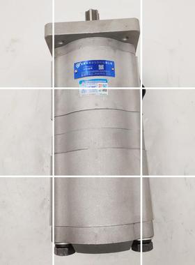 合肥长源双联齿轮泵 CBQL-E563/F510/F540/F516/F532/F520-CF现货
