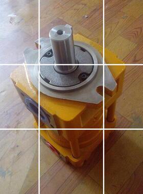 直齿共轭内啮合齿轮油泵NB4-C80F_ NB4-C100F_NB4-C125F现货