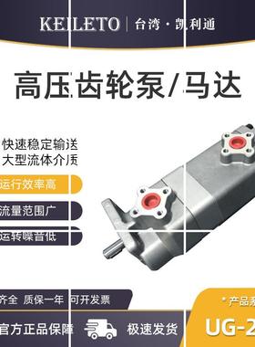 双联齿轮泵UG-22A-F22R/F33R/F44R/F55R/F66R/F88R/F99R/F11R现货