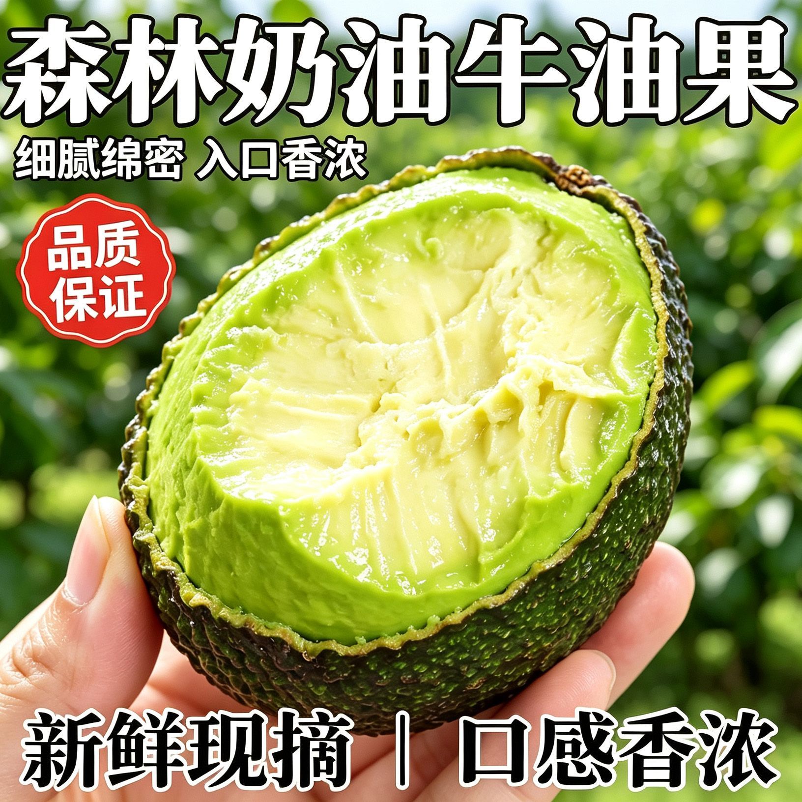 正宗进口牛油果礼盒新鲜哈斯水果孕妇宝宝辅食鳄梨应季水果墨西哥