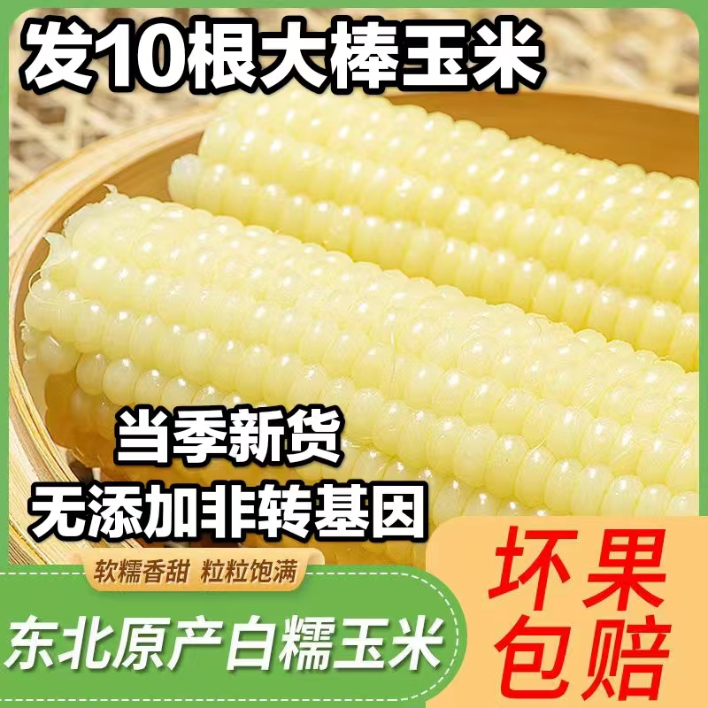 東北糯玉米真空獨立包裝正宗白糯玉米糯玉米棒甜糯粘代餐粗糧整箱