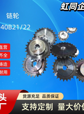 SP40B21-N/S-14/15/16/17/18/19/20/22/24/25/28/30/32/35/40链轮