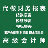 制作 代做财务报表资产负债表利润表损益表现金流量招投标银行贷款