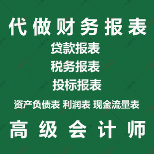 代做财务报表资产负债表利润表现金流量招投标银行贷款损益表