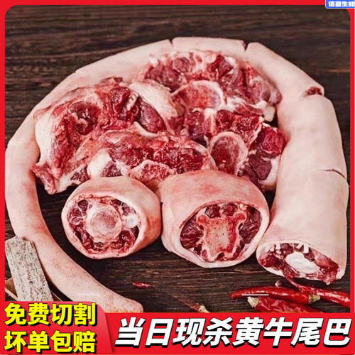 新鲜带皮牛尾巴整根原切黄牛新鲜现杀牛尾骨散养黄牛肉商用牛杂