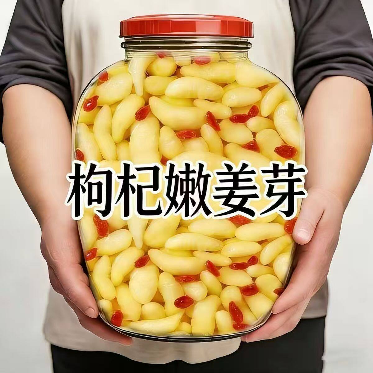 鲜嫩枸杞糖醋嫩姜芽生姜嫩姜仔姜腌制泡姜芽正宗酸甜脆下饭菜即食图片