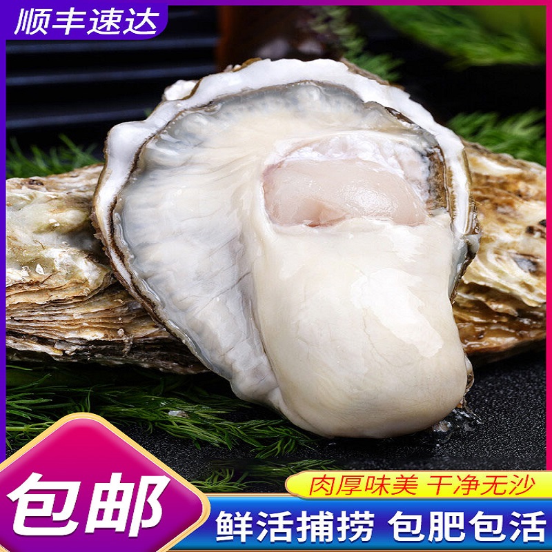 乳山生蚝鲜活5斤特大带箱新鲜海蛎子超大牡蛎海鲜水产5斤装新鲜