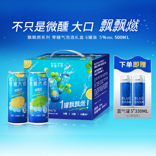 布鲁大师BLUEDASH飘飘燃0糖0嘌呤0脂4罐装 500ml气泡酒果酒礼盒装