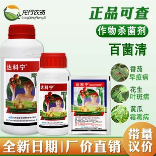 日本达科宁40%百菌清杀菌剂黄瓜番茄花生霜霉早晚疫叶霉叶斑病杀