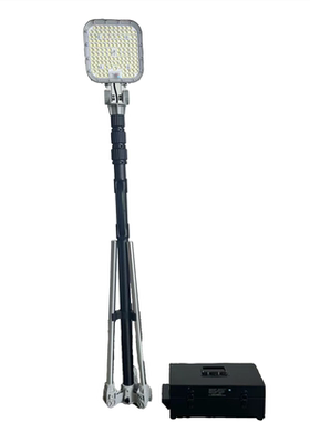 尚为(SEVA) SZSW2934（A款） 1000W 便携升降灯（单位：台） 黑色