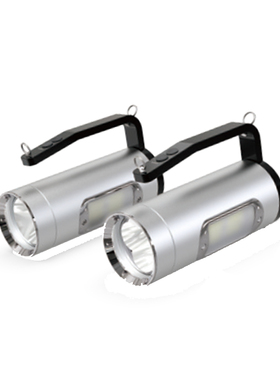 尚为SEVA SZSW2320-2*15W 防爆手提探照灯（计价单位：套）黑色