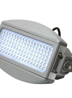 深圳尚为（SEVA）SZSW7290-100  2代  IP66 5700K LED灯 含安装