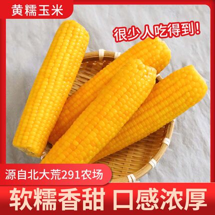 2025头茬东北新鲜甜糯玉米200g*8根真空包装黄糯玉米棒加热即食