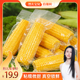 非转基因 东北头茬黄糯糯九玉米真空包装 烈儿宝贝直播间