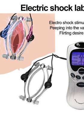 Electric Shock Labia Clips Clitoris Stimulator Clamp Pussy B