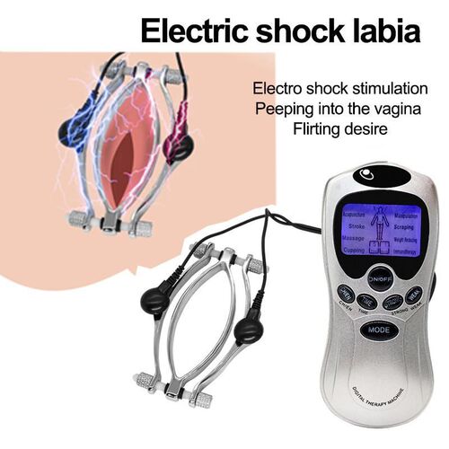 Electric Shock Labia Clips Clitoris Stimulator Clamp Pussy B