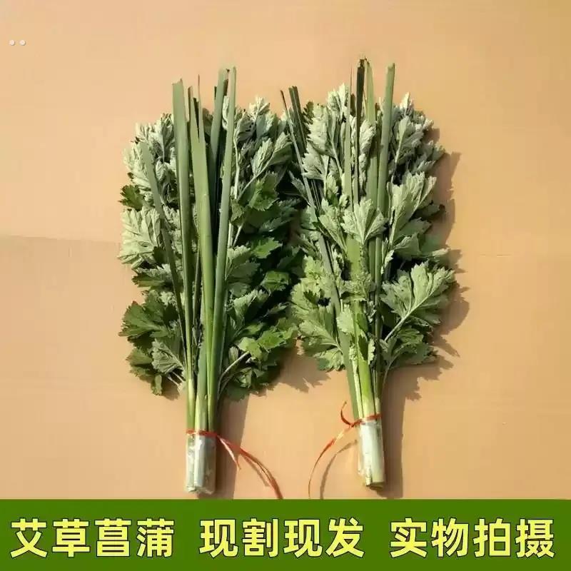 2025年端午精选新鲜艾草艾叶整颗带杆带叶九尖艾蒿菖蒲挂门窗驱蚊