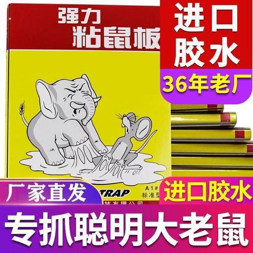 加厚老鼠贴强力粘胶灭鼠板超强粘度粘鼠板捕鼠神器