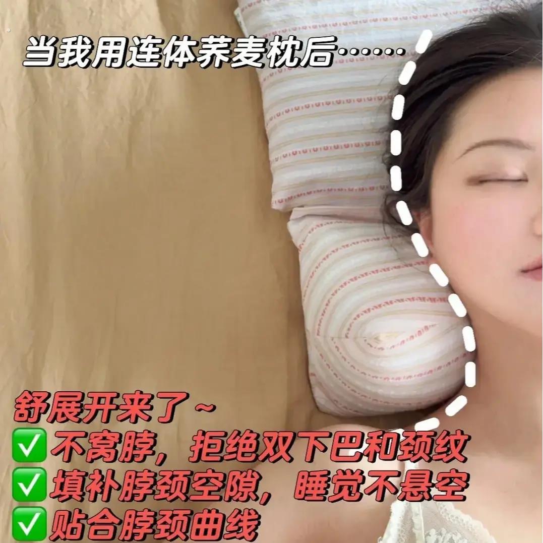 荞麦壳多功能护颈枕连体枕家用颈椎艾草组合枕头荞麦枕图片