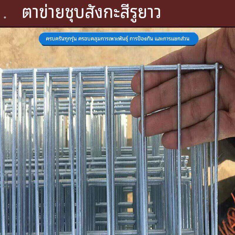 长方孔镀锌铁丝网围栏防护网片加粗小孔鸽舍鸟狗笼养殖隔离防护网
