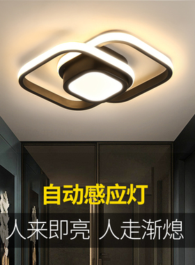 简约过道灯感应吸顶灯走廊入户玄关灯楼梯网红阳台led衣帽间灯具